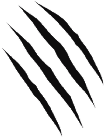 Falcon Claw Marks Clipart Claw Marks Transparent Back - vrogue.co