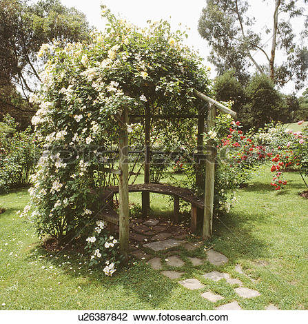 Stock Photo of White metal bench in trellis arbour with climbing.