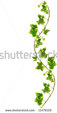 Climbing red ivy clipart 20 free Cliparts | Download images on ...