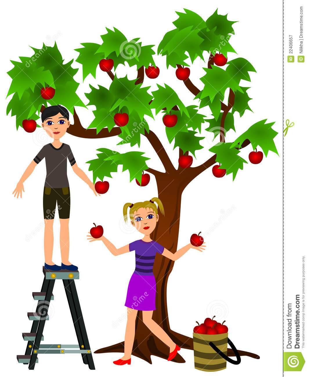 clip art apple picking 20 free Cliparts | Download images on Clipground ...