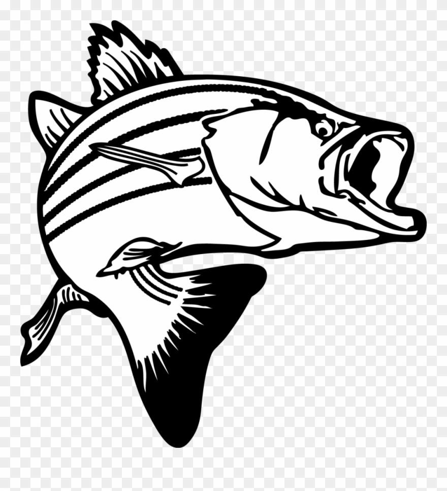 Free Free 200 Largemouth Bass Bass Fish Svg Free SVG PNG EPS DXF File