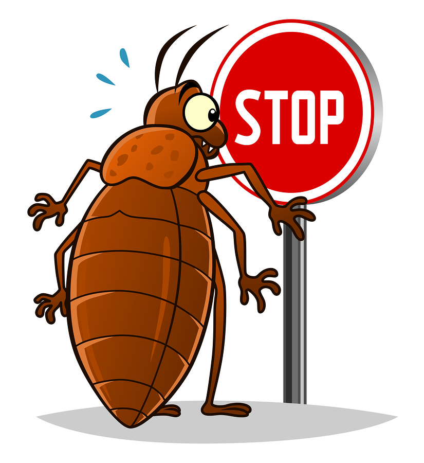 clip art bed bugs 20 free Cliparts | Download images on Clipground 2021