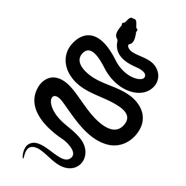 clip art black and white snake 20 free Cliparts | Download images on ...