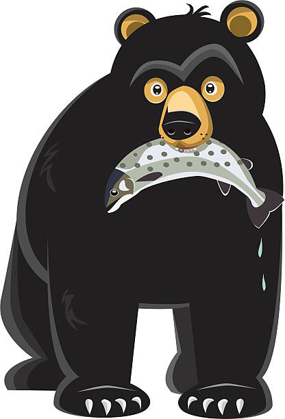 clip art black bear 20 free Cliparts | Download images on Clipground 2021