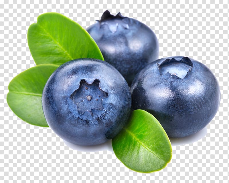 Three blueberries illustration, Smoothie Blueberry, blueberry.