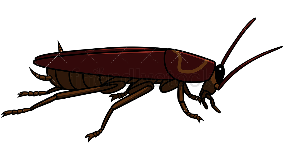 clip art cockroaches 20 free Cliparts | Download images on Clipground 2022