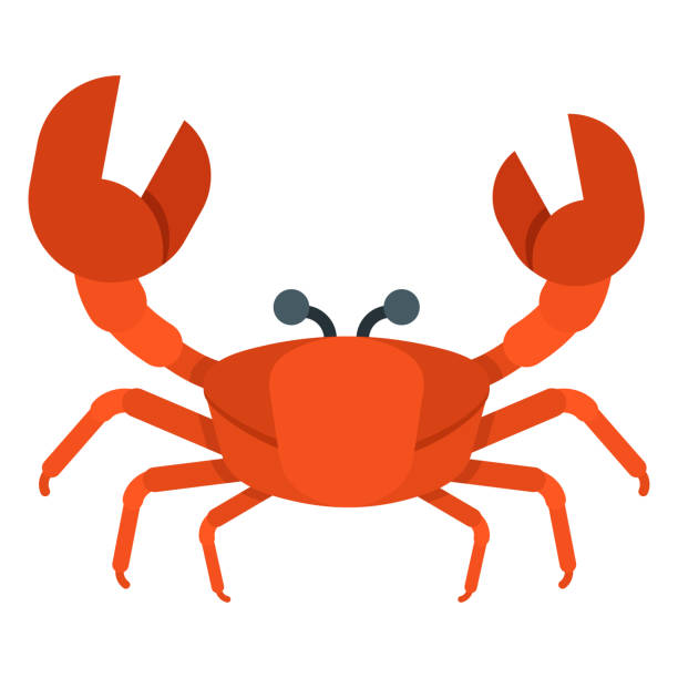 Best Crab Illustrations, Royalty.