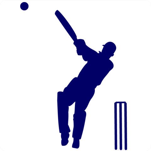Image result for cricket clipart.