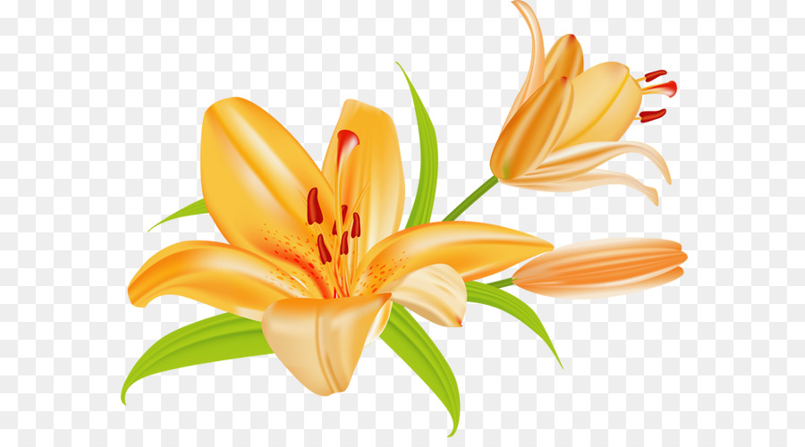 clip art easter lily 20 free Cliparts | Download images on Clipground 2023