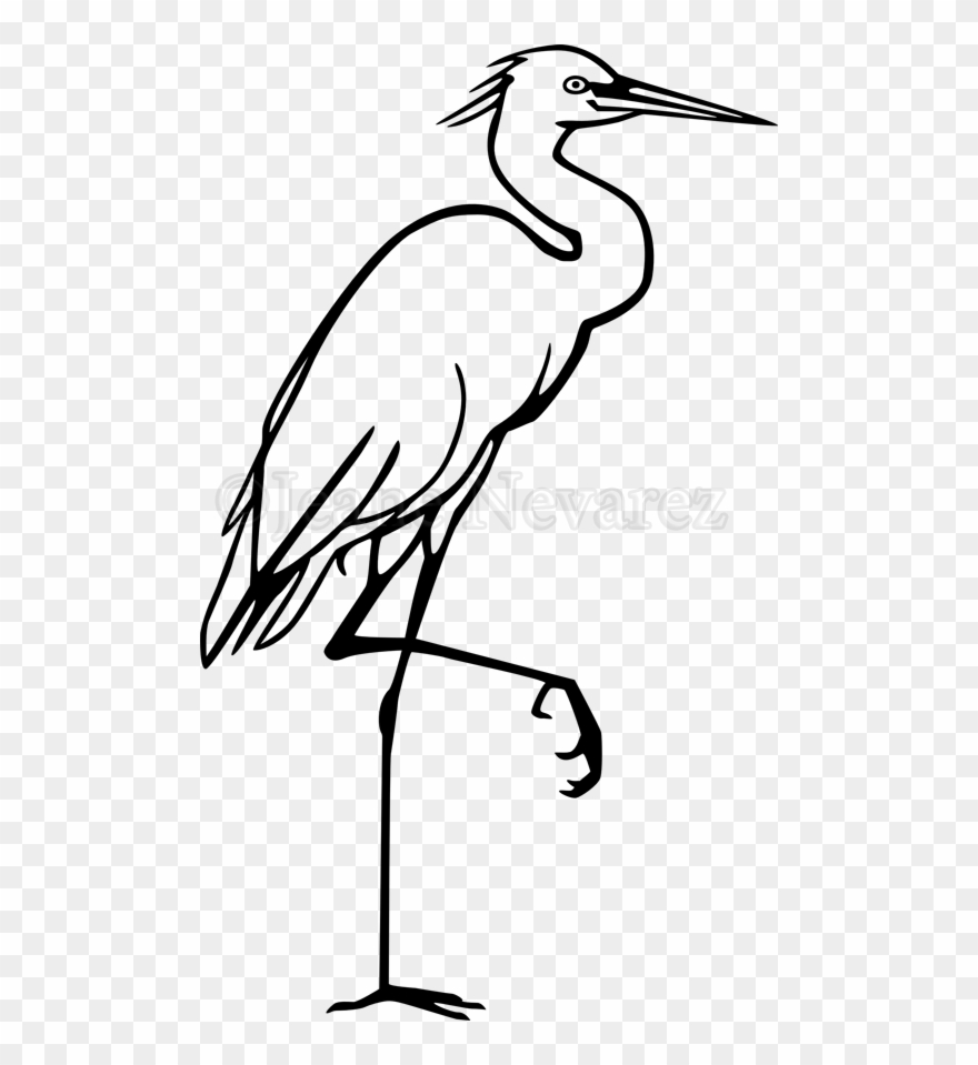 clip art egret 20 free Cliparts | Download images on Clipground 2023