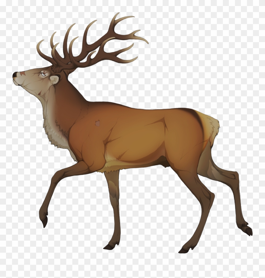 Elk Clipart Golden Deer.