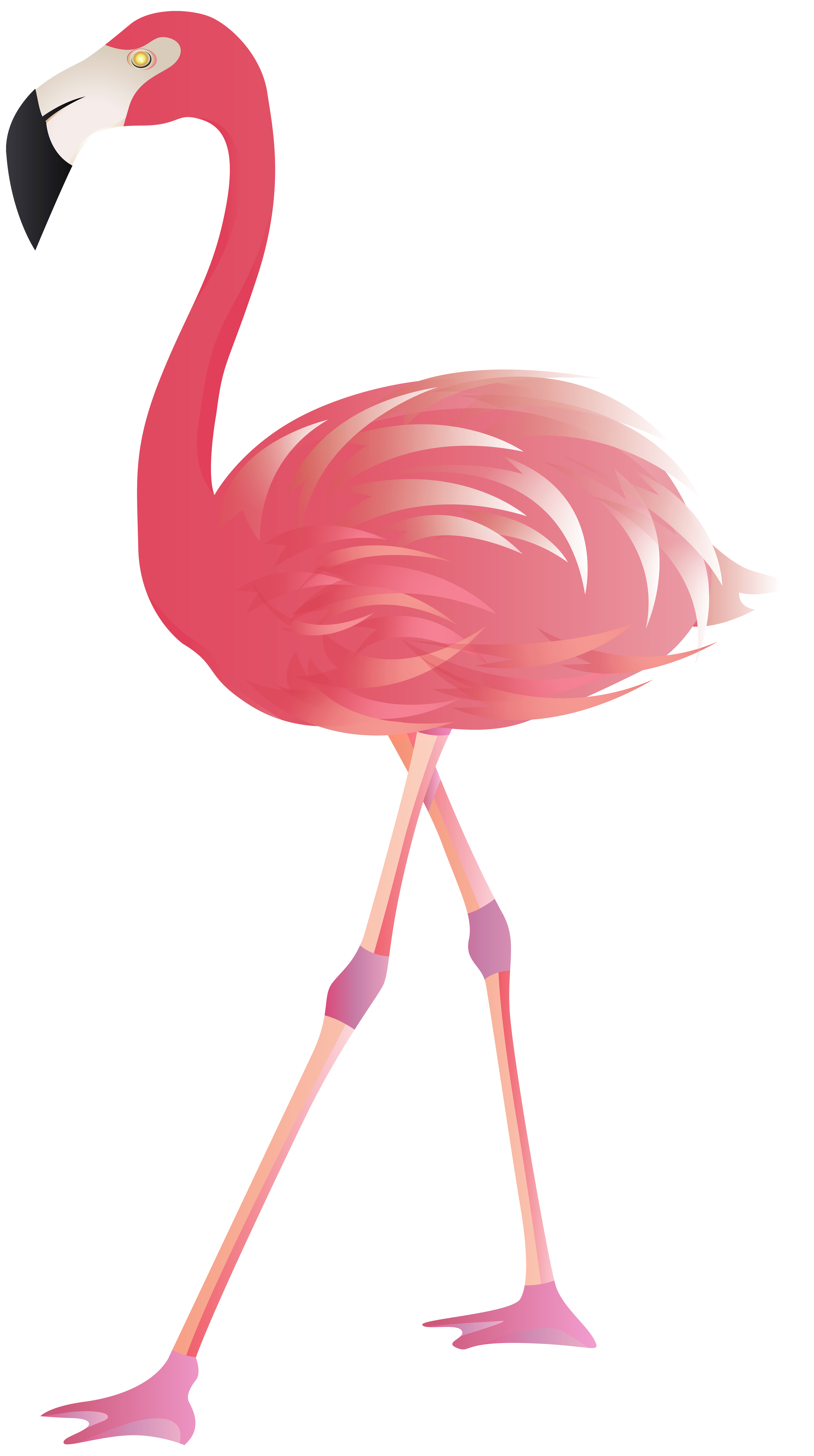 cute cartoon flamingo black and white