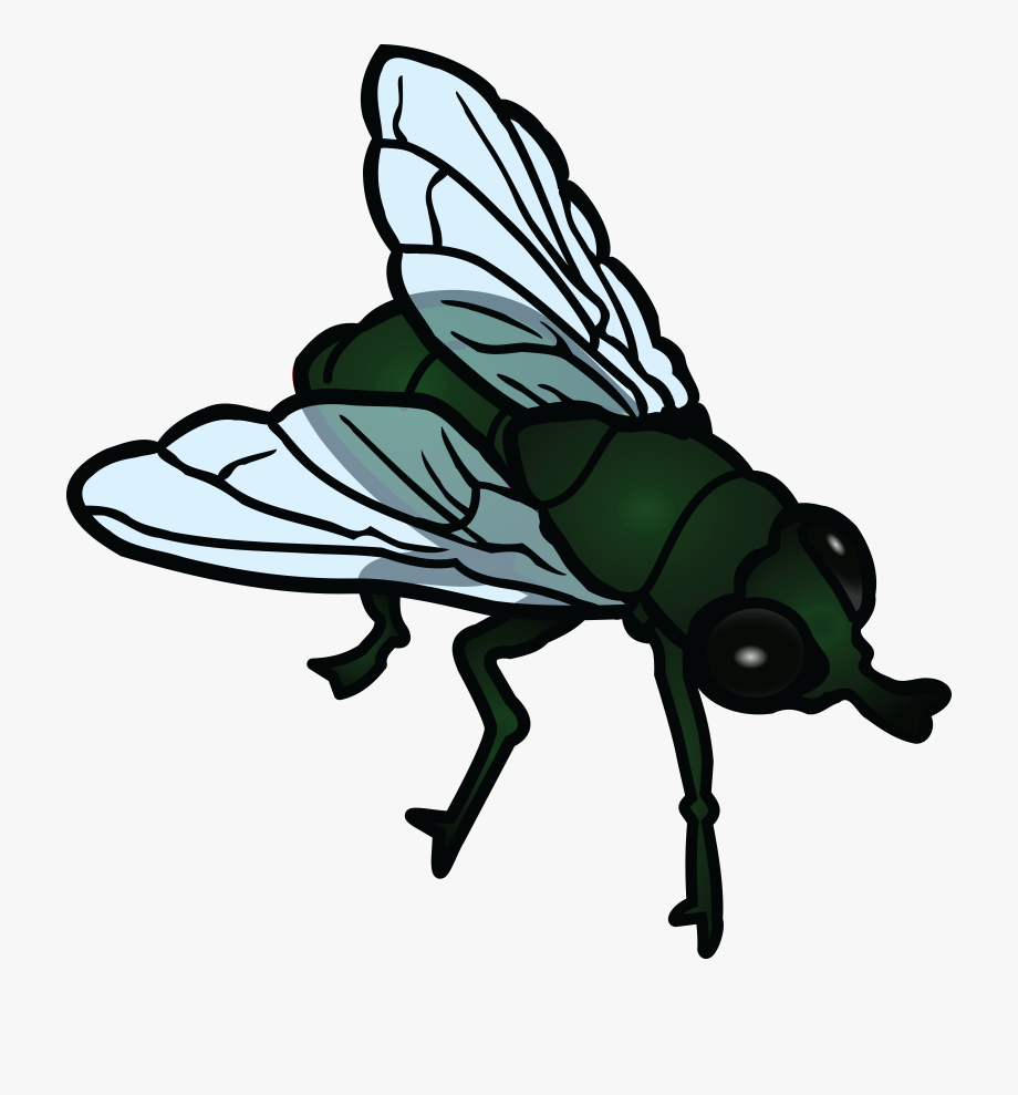 Fly Clipart.
