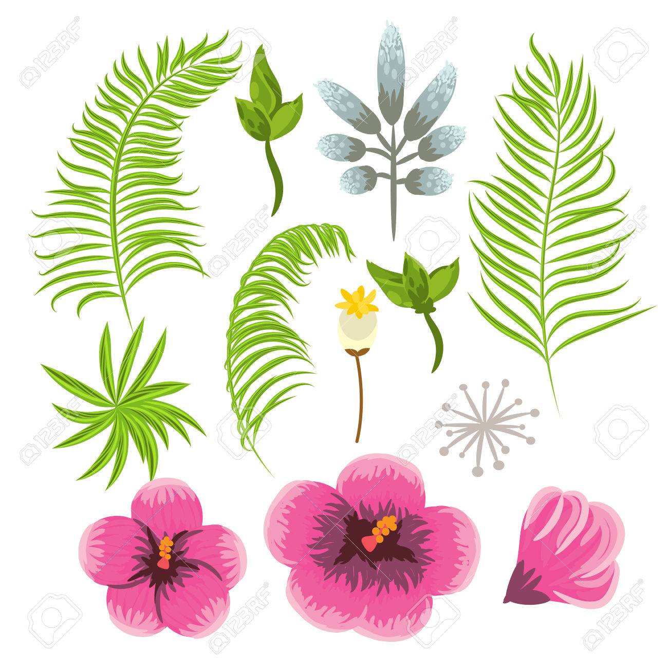 Set of exotic tropical flowers and palm leaves. Jungle flora...