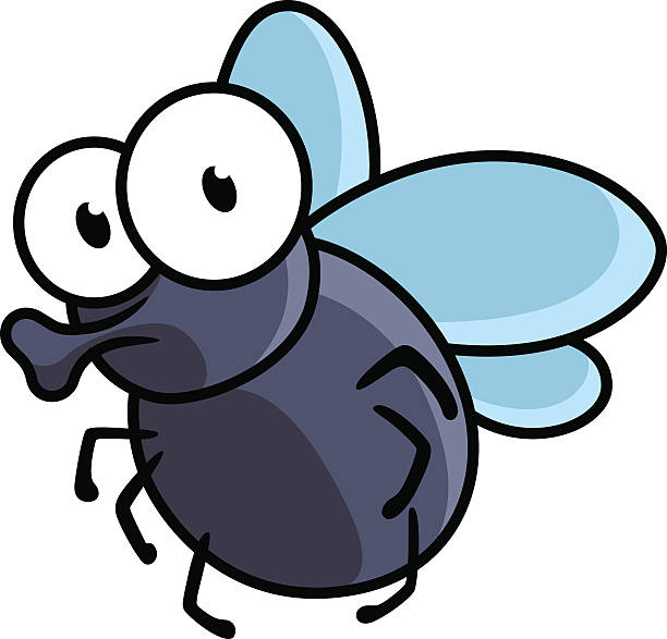 List 103+ Pictures how to draw a cartoon fly Latest