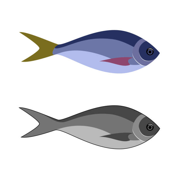 Best Fish Food Illustrations, Royalty.