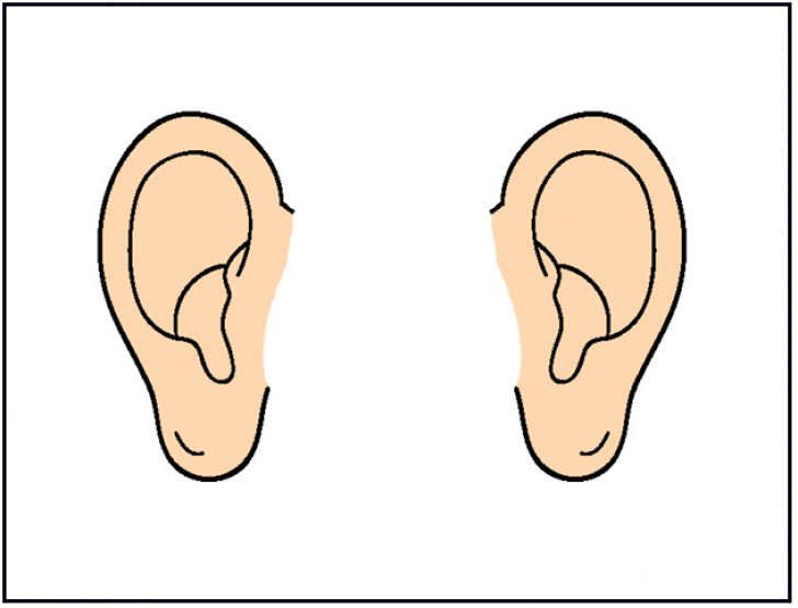 ears clipart free.