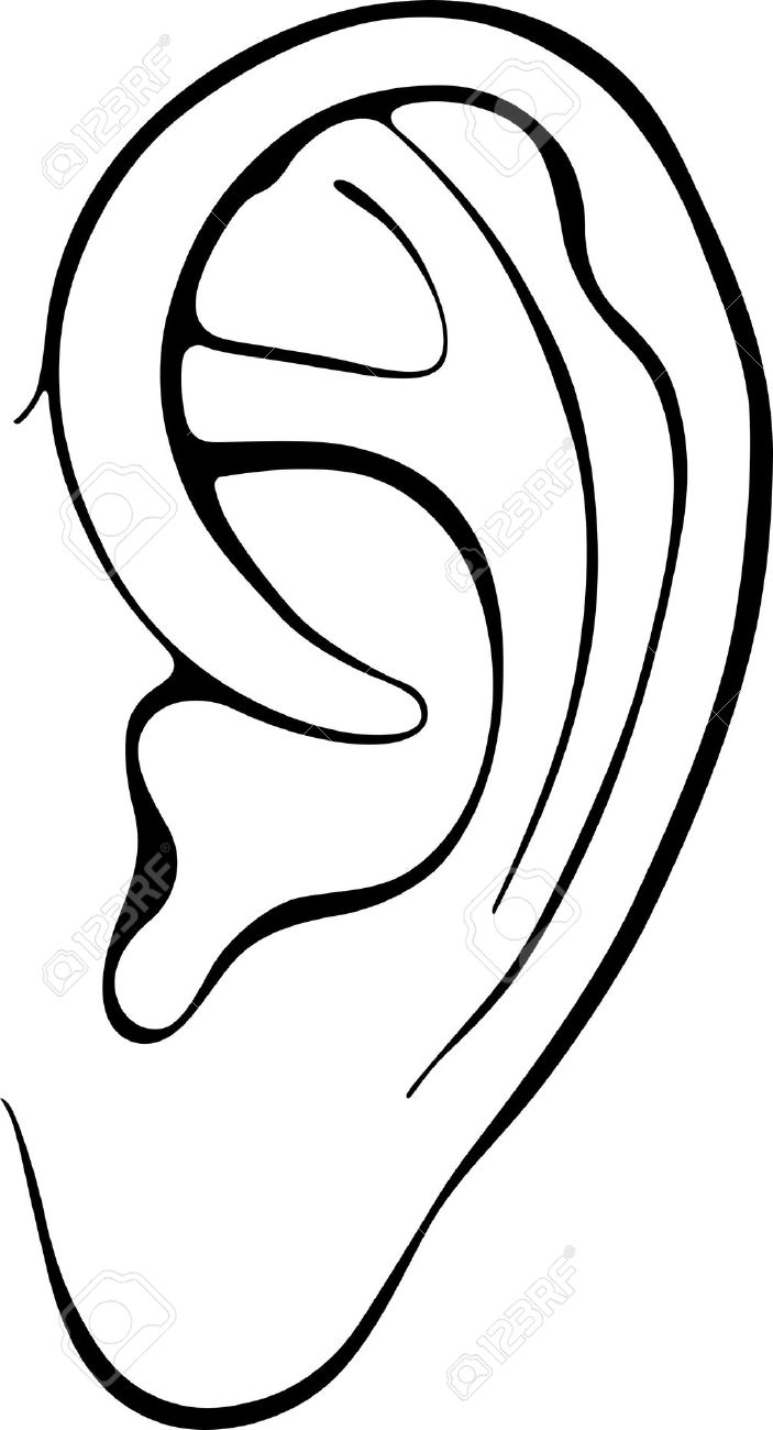 Ear clip art free clipart images 4.