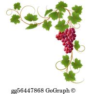 Grape Vine Clip Art.