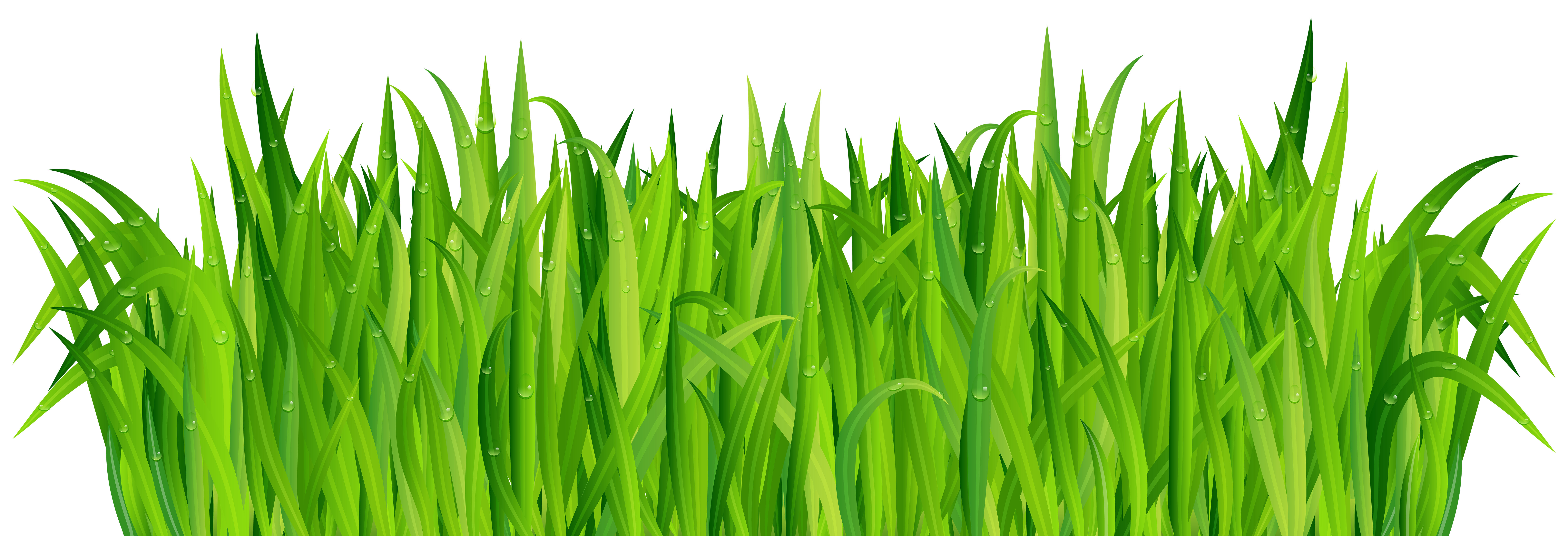 clip art grass 20 free Cliparts Download images on Clipground 2021