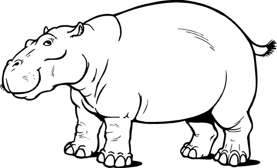 Free Hippopotamus Cliparts, Download Free Clip Art, Free Clip Art on.