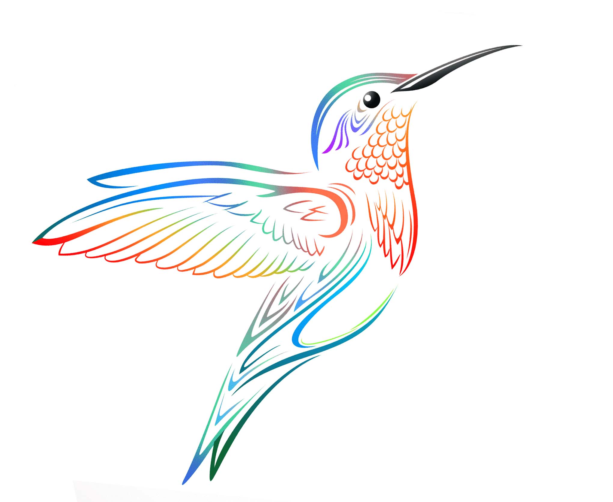 clip art hummingbird 20 free Cliparts | Download images on Clipground 2021