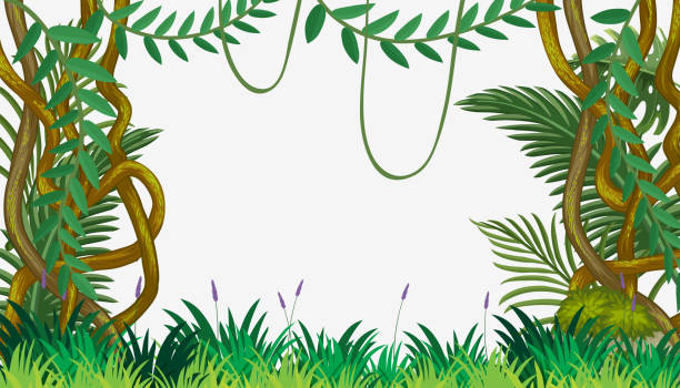 clip art jungle 20 free Cliparts | Download images on Clipground 2021