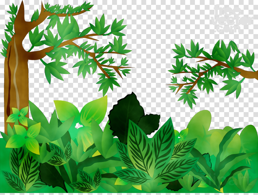 Clip Art Jungle 20 Free Cliparts Download Images On Clipground 2021 3200