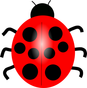 Red Ladybug Clip Art at Clker.com.