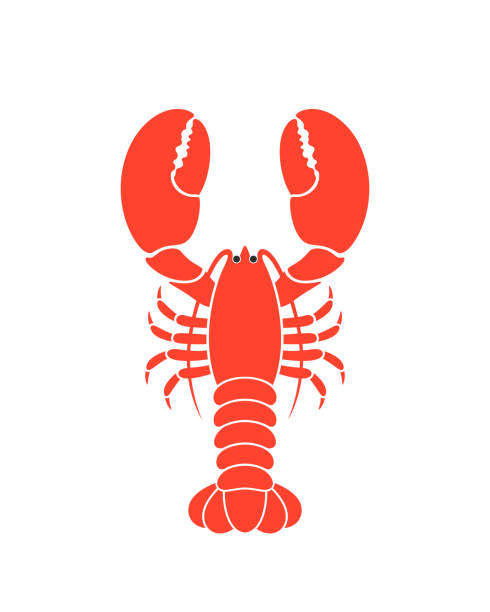 clip art lobsters 20 free Cliparts | Download images on Clipground 2023