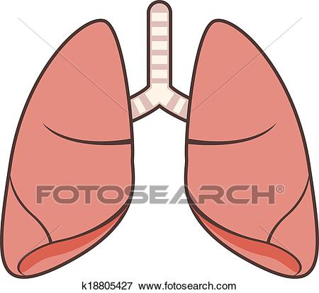 Lungs Clip Art.
