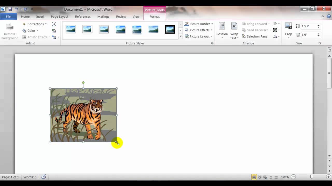 Inserting, Sizing, and Moving Clip Art and Pictures in Word BC116a 2010 Wk3  Rd3.