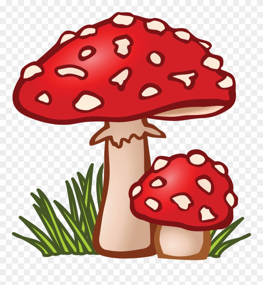 Free Clipart Of Mushrooms.