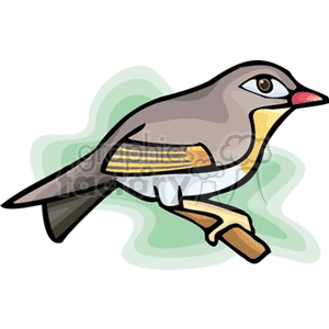 China's nightingale perched on a branch clipart. Royalty.