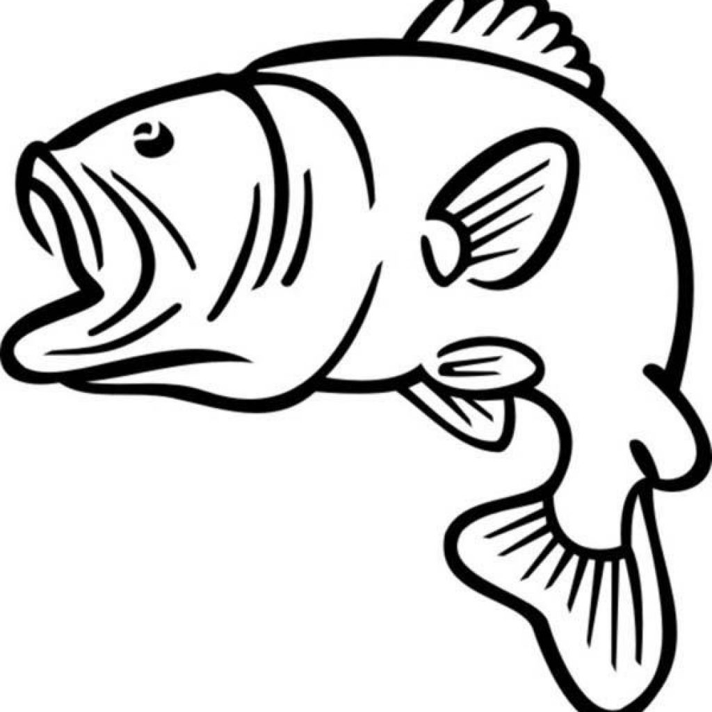 clip art of bass fish 20 free Cliparts | Download images on Clipground 2023