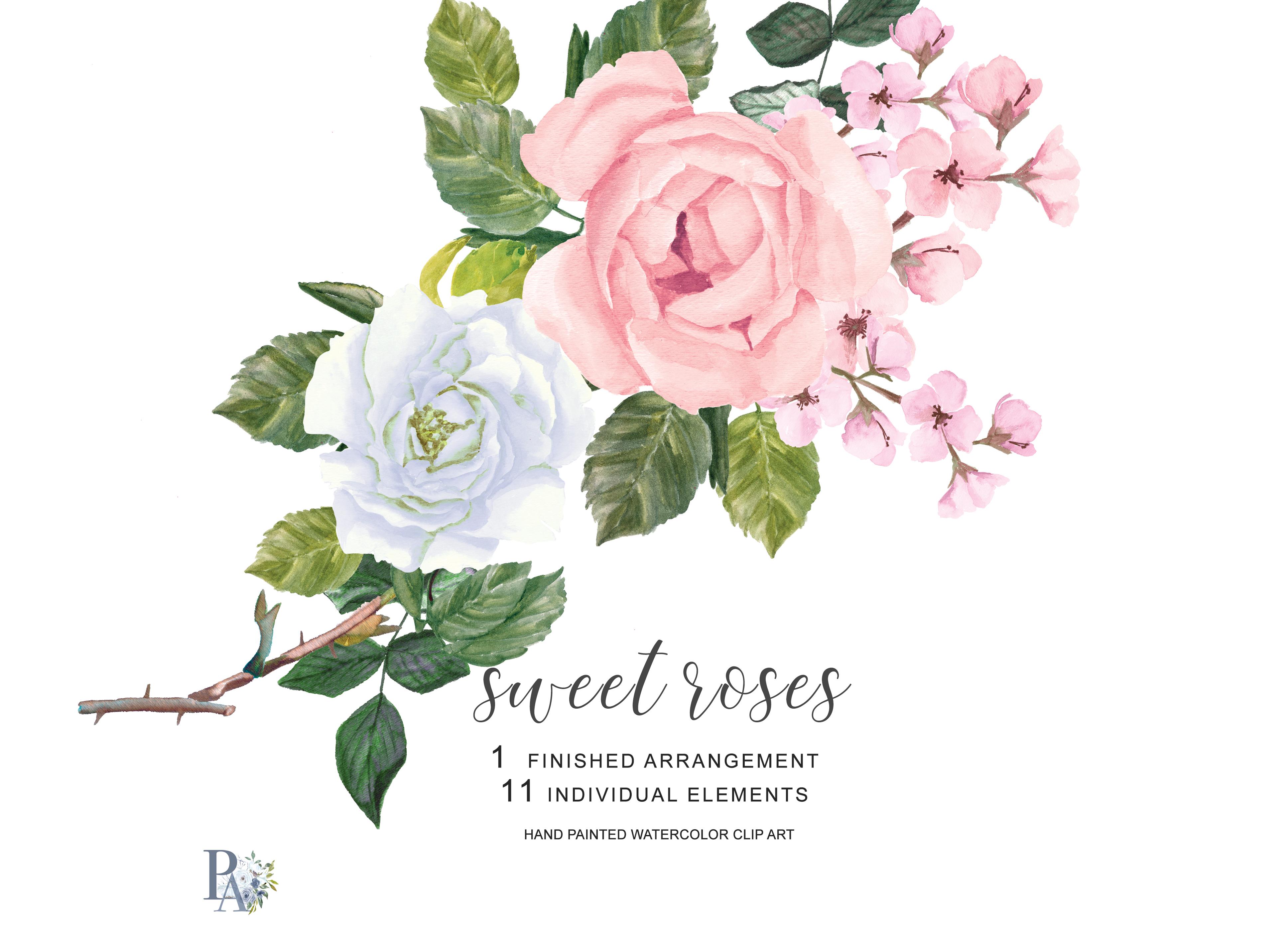 Watercolor Blush Pink and White Roses Clipart Separate Elements Hand  Painted Pink & White Rose Clip Art.