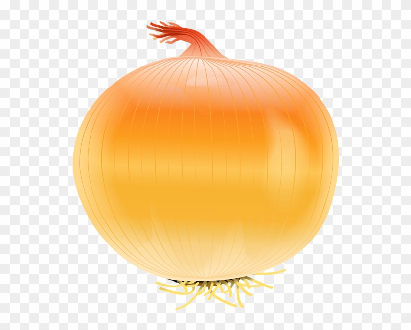 Onion Free Png Clip Art Image.