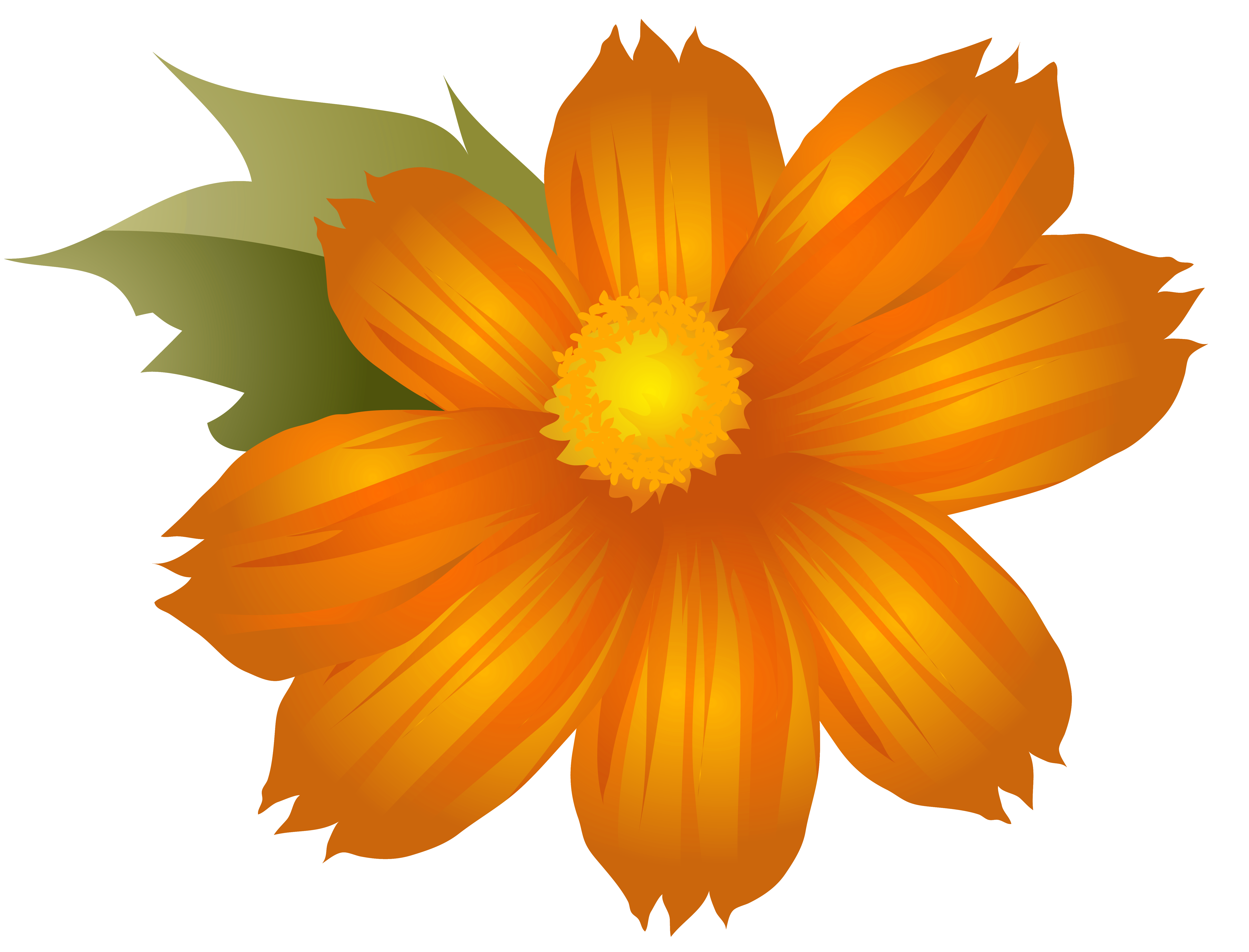 clip art orange flowers 20 free Cliparts | Download images on