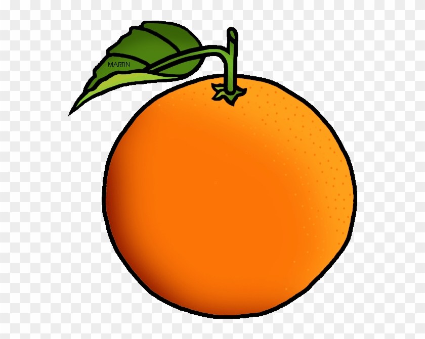 Oranges clipart free 3 » Clipart Portal.