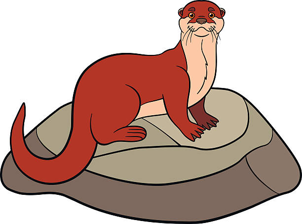 Otter, Illustration, Cartoon, Drawing, Graphics, Wildlife png.