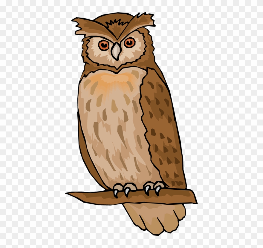 Black And White Library Owl Clipart.