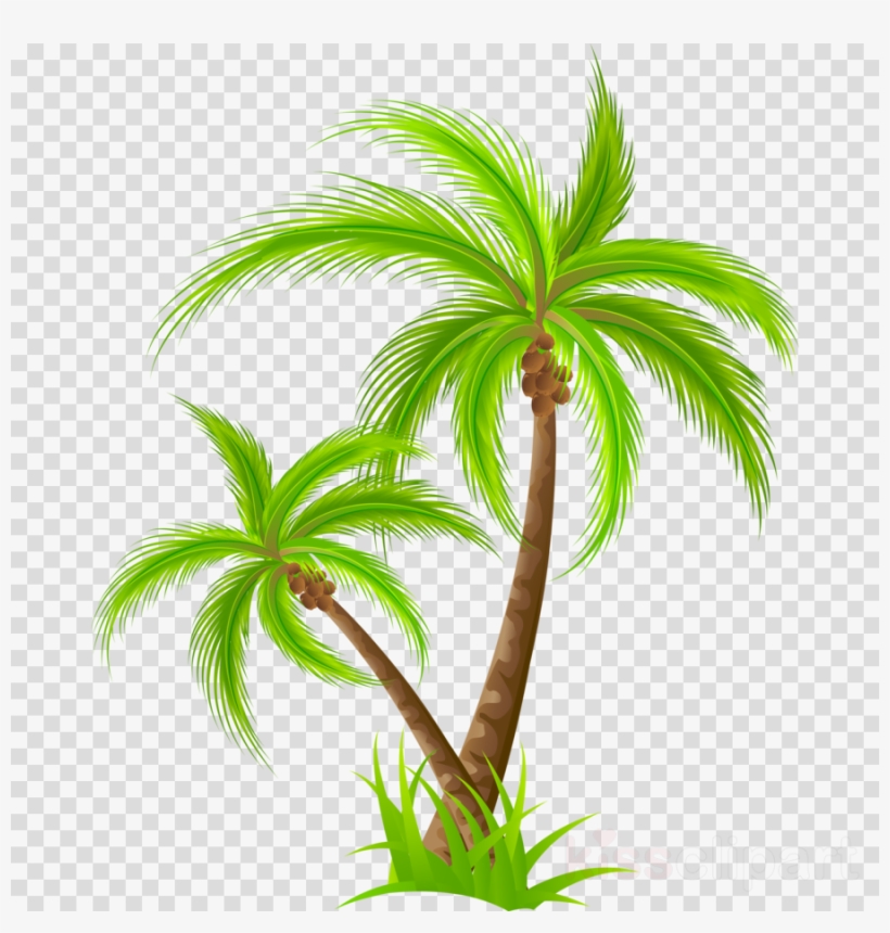 clip art palm tree 20 free Cliparts | Download images on Clipground 2022