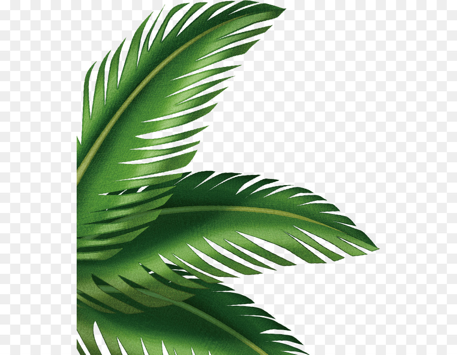 Printable Palm Leaf Art : 'Tropical Green Palm Leaf 1 botanical decor