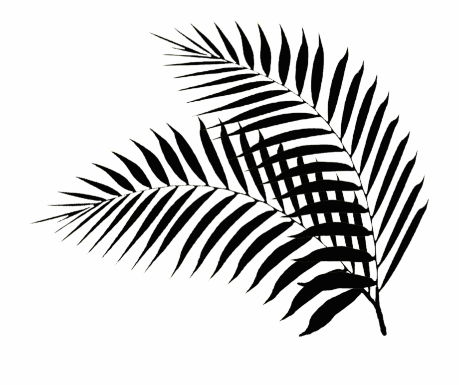 Bula Fiji Palm Tree Clipart & Clip Art Images.