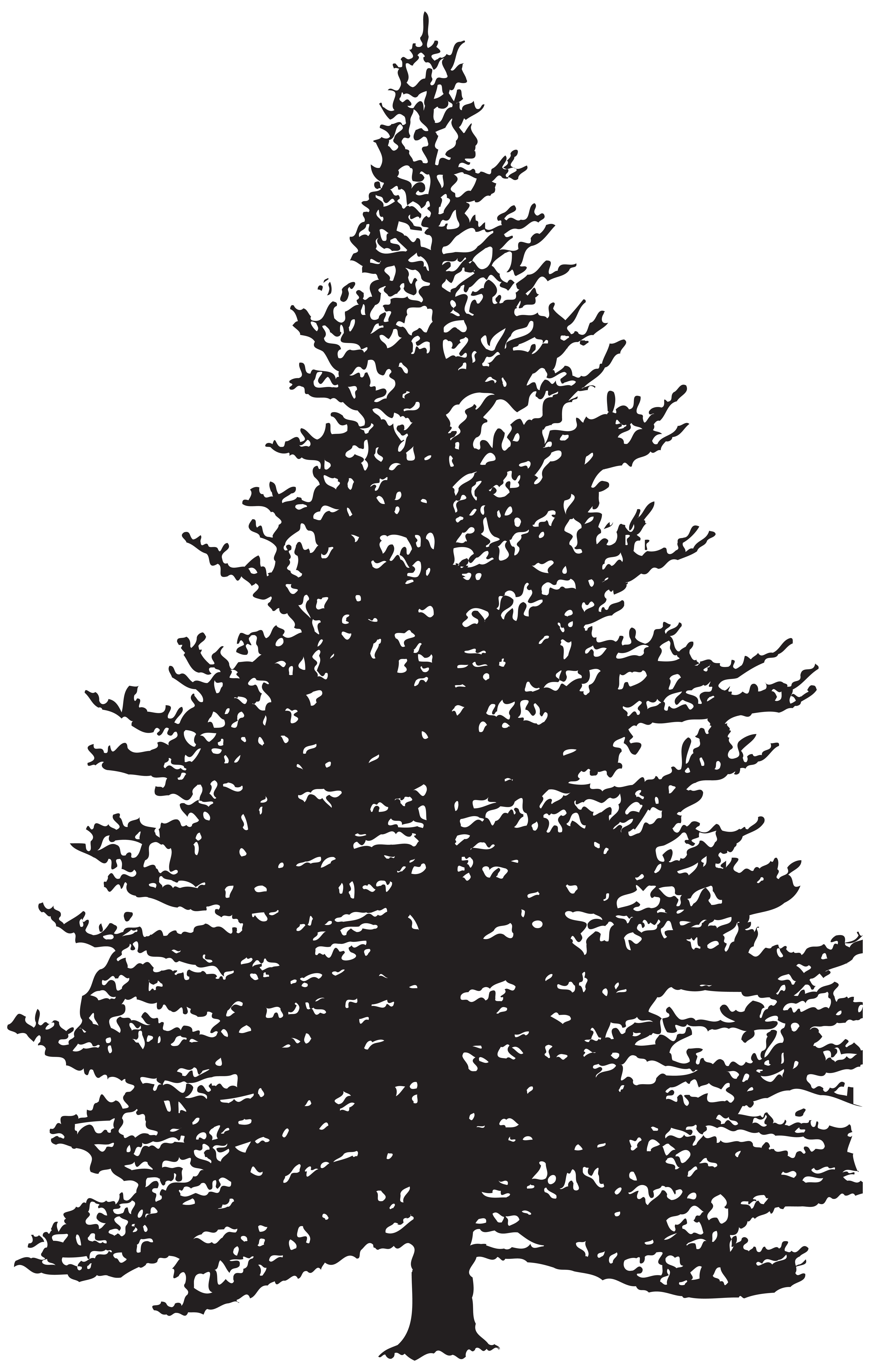 Clip Art Pine Tree Silhouette 20 Free Cliparts Download Images On