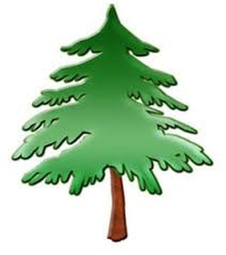 Pine Tree Clipart.
