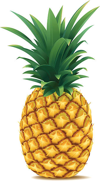 Best Pineapple Illustrations, Royalty.
