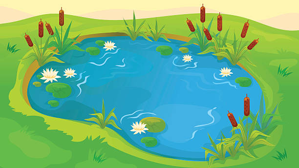 clip art pond 20 free Cliparts | Download images on Clipground 2024