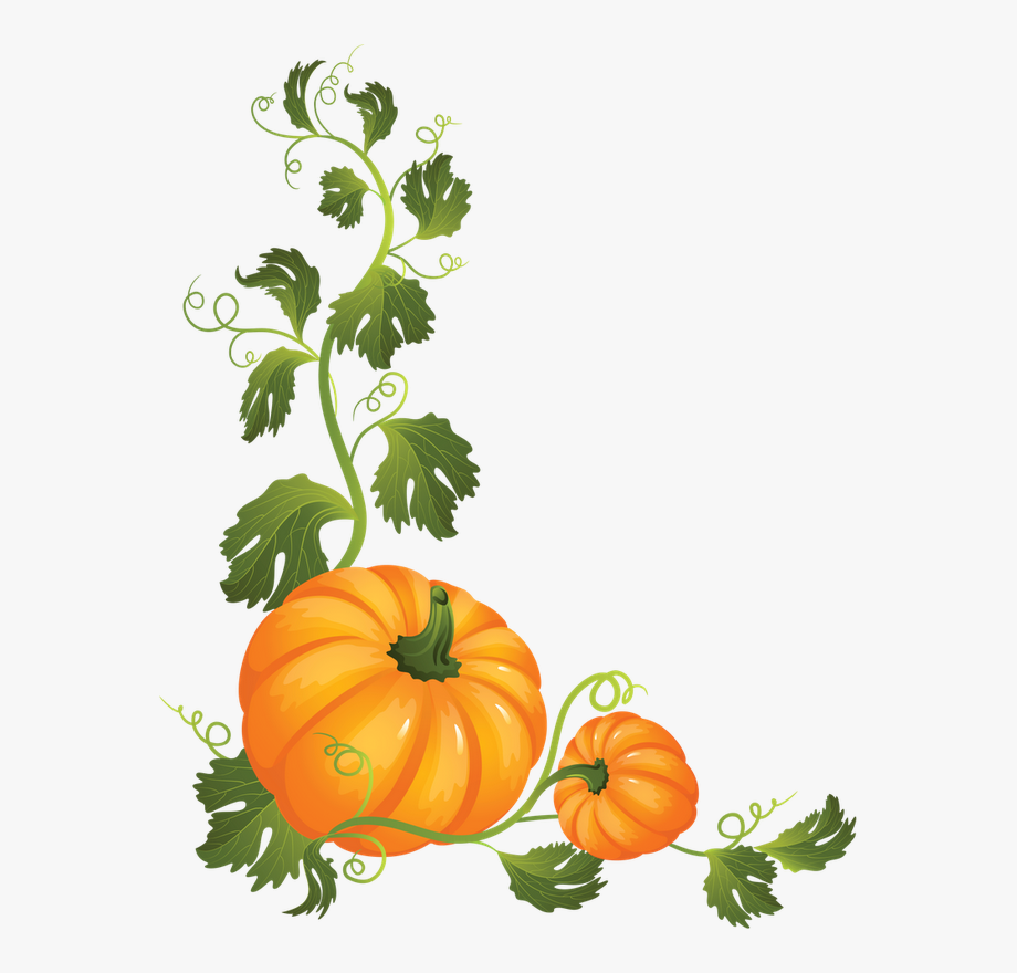 clip art pumpkin vine 20 free Cliparts | Download images on Clipground 2021