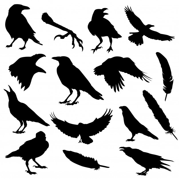 Raven bird halloween silhouette clip art Vector.